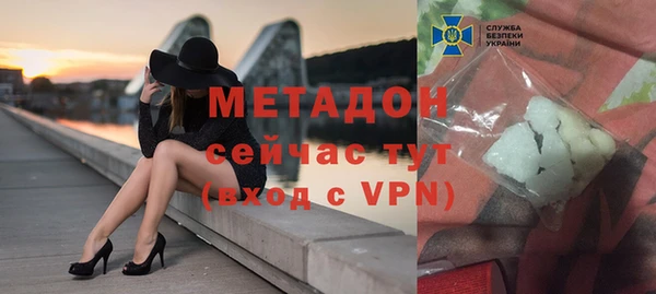 прущие грибы Абинск