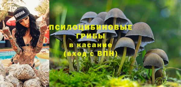 a pvp Абдулино