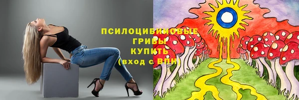 2c-b Абаза